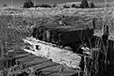 What Remains 25